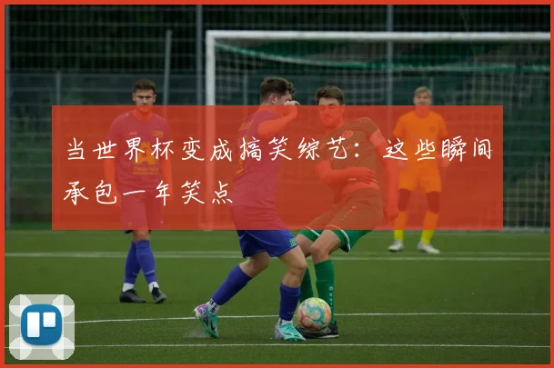 当世界杯变成搞笑综艺：这些瞬间承包一年笑点
