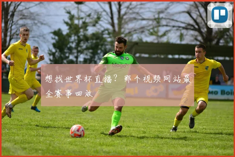 想找世界杯直播？那个视频网站最全赛事回放